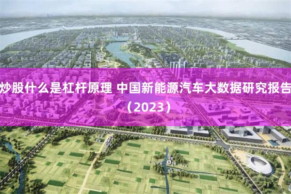 炒股什么是杠杆原理 中国新能源汽车大数据研究报告（2023）