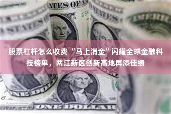 股票杠杆怎么收费 “马上消金”闪耀全球金融科技榜单，两江新区创新高地再添佳绩