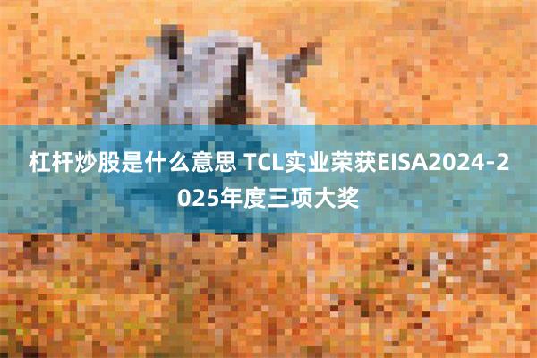 杠杆炒股是什么意思 TCL实业荣获EISA2024-2025年度三项大奖