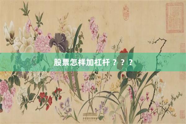 股票怎样加杠杆 ？？？