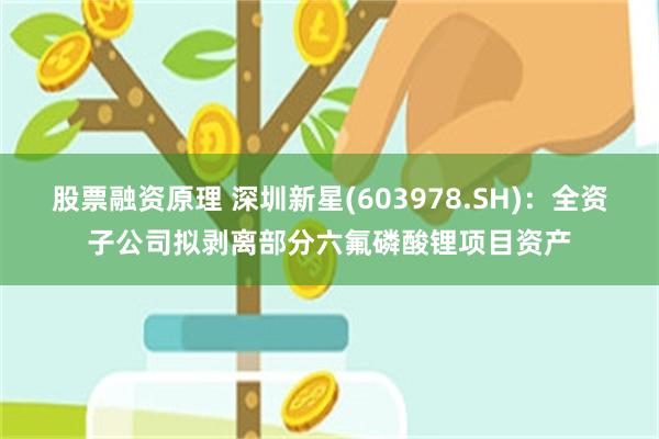 股票融资原理 深圳新星(603978.SH)：全资子公司拟剥离部分六氟磷酸锂项目资产