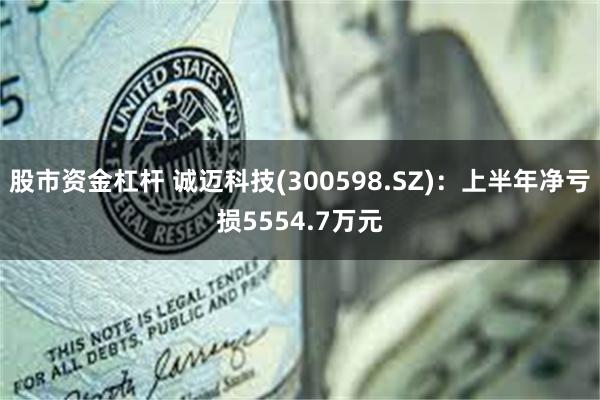 股市资金杠杆 诚迈科技(300598.SZ)：上半年净亏损5554.7万元