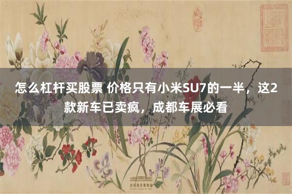 怎么杠杆买股票 价格只有小米SU7的一半，这2款新车已卖疯，成都车展必看