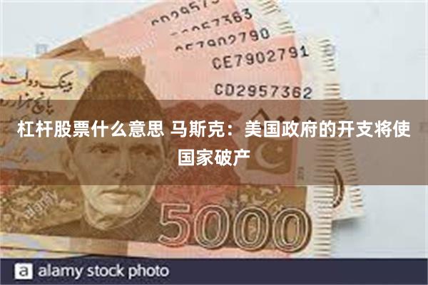 杠杆股票什么意思 马斯克：美国政府的开支将使国家破产