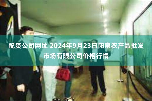 配资公司网址 2024年9月23日阳泉农产品批发市场有限公司价格行情