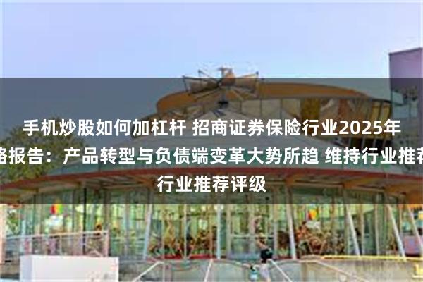 手机炒股如何加杠杆 招商证券保险行业2025年度策略报告：产品转型与负债端变革大势所趋 维持行业推荐评级