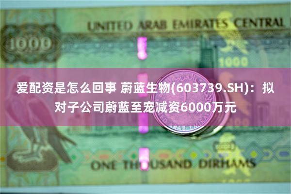 爱配资是怎么回事 蔚蓝生物(603739.SH)：拟对子公司蔚蓝至宠减资6000万元