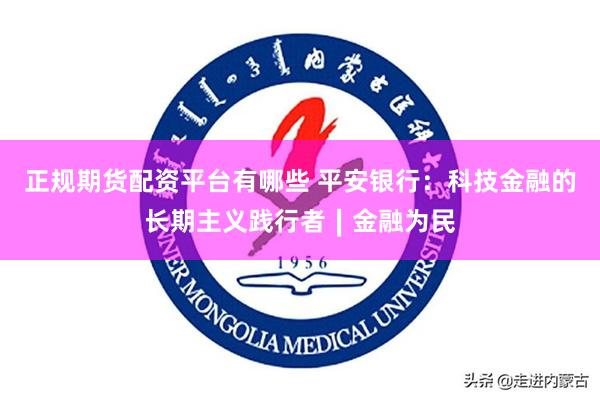 正规期货配资平台有哪些 平安银行：科技金融的长期主义践行者∣金融为民