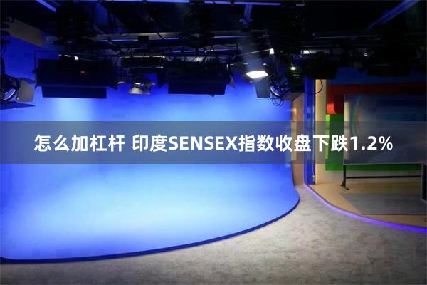 怎么加杠杆 印度SENSEX指数收盘下跌1.2%