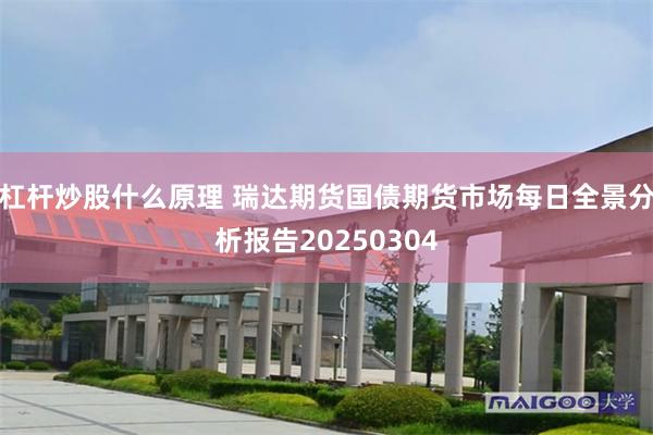 杠杆炒股什么原理 瑞达期货国债期货市场每日全景分析报告20250304