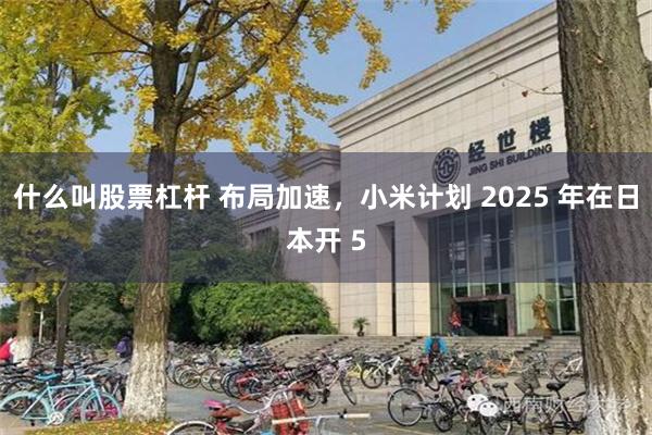 什么叫股票杠杆 布局加速，小米计划 2025 年在日本开 5