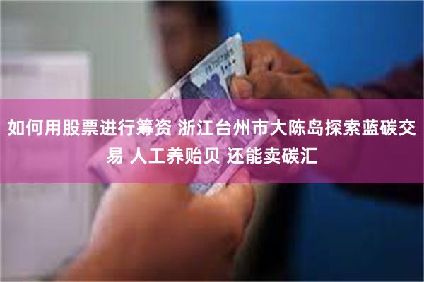 如何用股票进行筹资 浙江台州市大陈岛探索蓝碳交易 人工养贻贝 还能卖碳汇