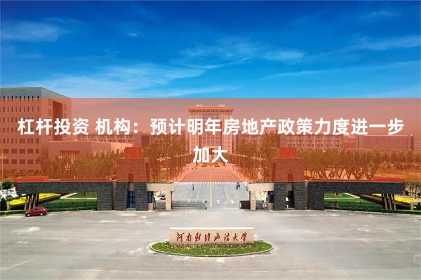 杠杆投资 机构：预计明年房地产政策力度进一步加大